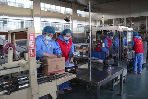 復工復產進行時丨將一顆冬棗 吃干榨凈 串起鏈條助力產業(yè)提質加速