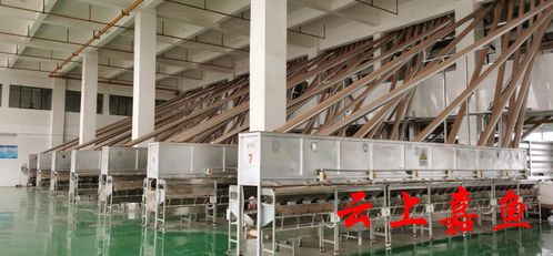 聯(lián)創(chuàng)食品產(chǎn)銷(xiāo)兩旺